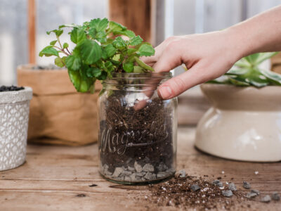 What Do You Put in The Bottom of a Planter without Drainage?