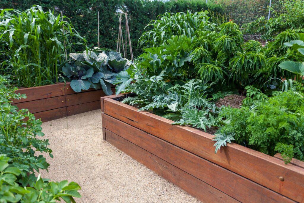 Wooden Raised Garden Bed Installation Costs