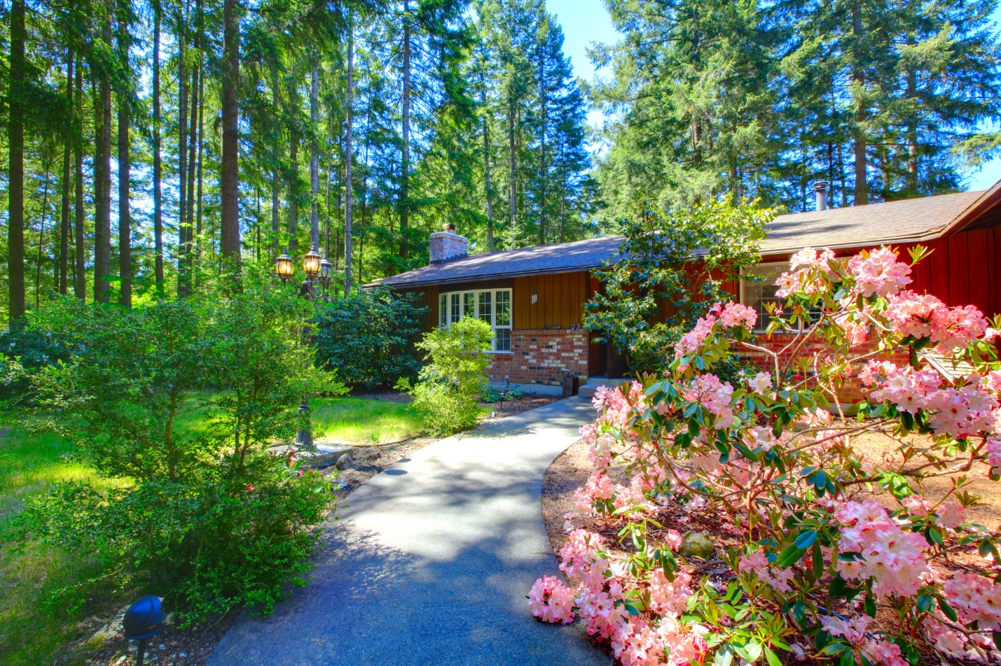 A house with a path and trees

Description automatically generated