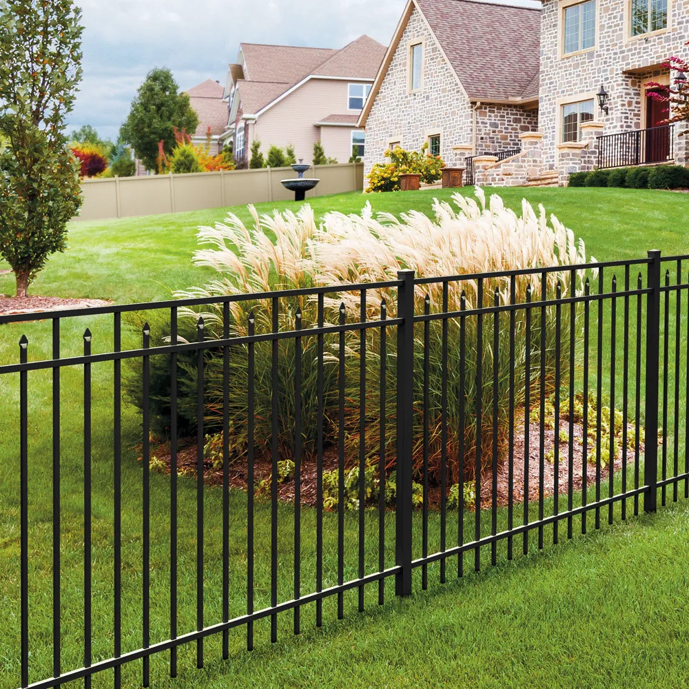 an iron fencing with a flower plant in the background