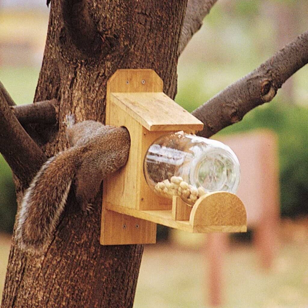 A squirrel perched on a bird feeder, nibbling on seeds.