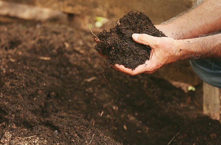 Soil for Plants