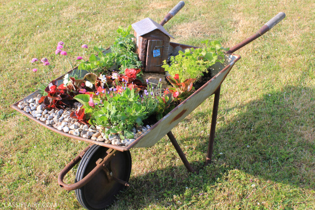 Herbs in a Wheelbarrow