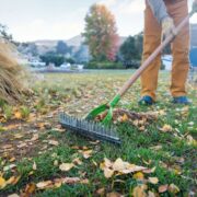 How Much Should I Charge to Rake Leaves