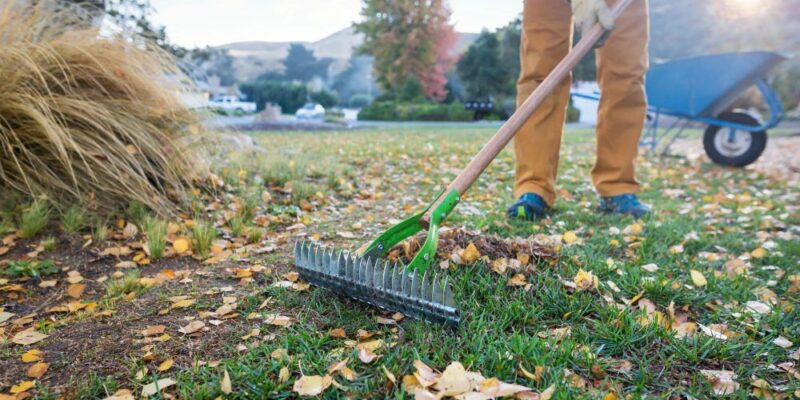 How Much Should I Charge to Rake Leaves