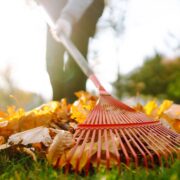 Is It Ok to Rake Leaves in The Street?