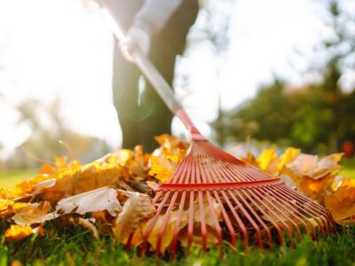 Is It Ok to Rake Leaves in The Street?