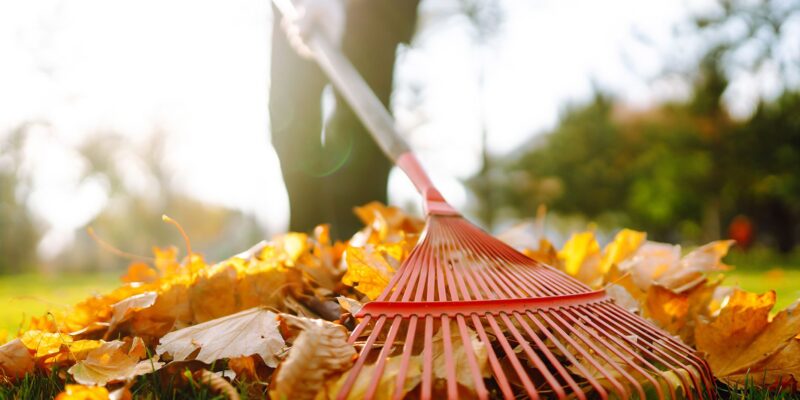 Is It Ok to Rake Leaves in The Street?