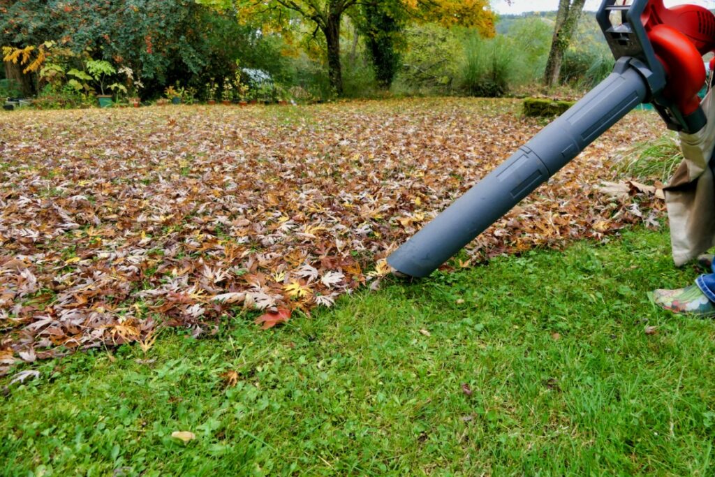 Lawn Vacuum