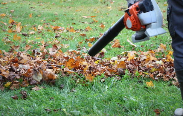 Worker cleaning falling leaves in autumn park. Man using leaf blower for cleaning autumn leaves. Autumn season. Park cleaning service.