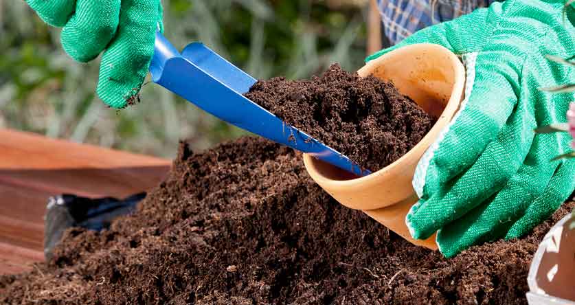 Storing Potting Soil