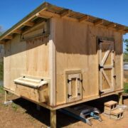 Can a Chicken Coop Be 4 Feet Off the Ground?