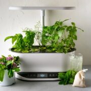 How does AeroGarden Bounty work?