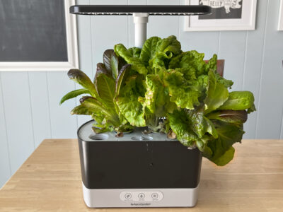 Is Aerogarden Worth It