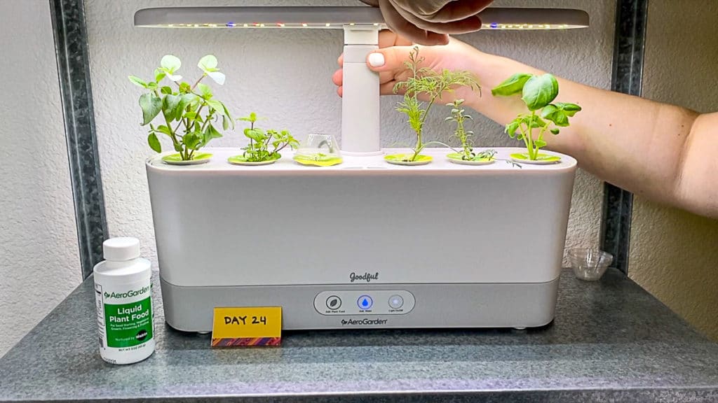 The Benefits of AeroGarden