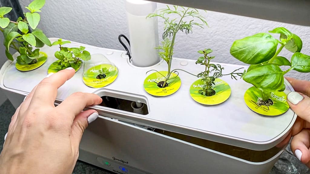 What is AeroGarden?