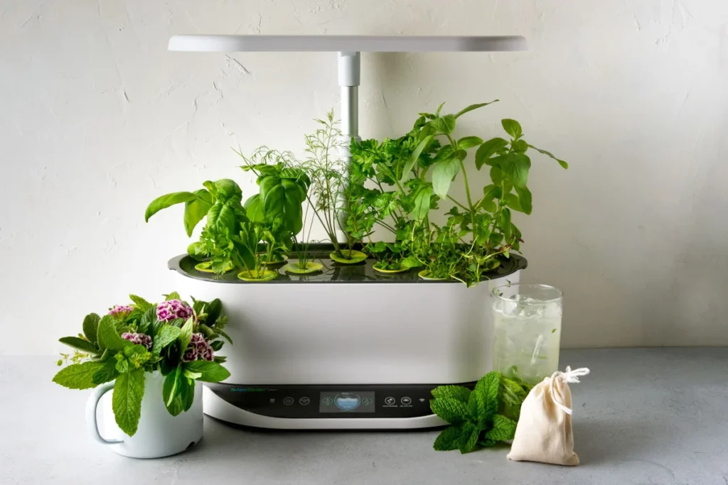 Which AeroGarden Should I Get?