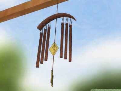 Do Wind Chimes Scare Away?