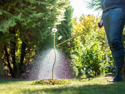 Does Vinegar Kill Weeds Permanently?