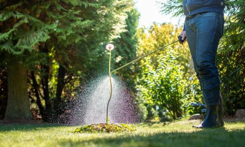 Does Vinegar Kill Weeds Permanently?