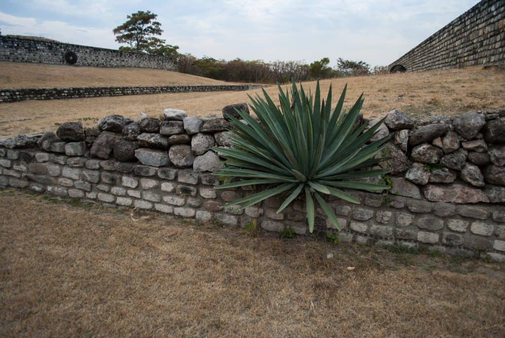 Natural Stone Wall