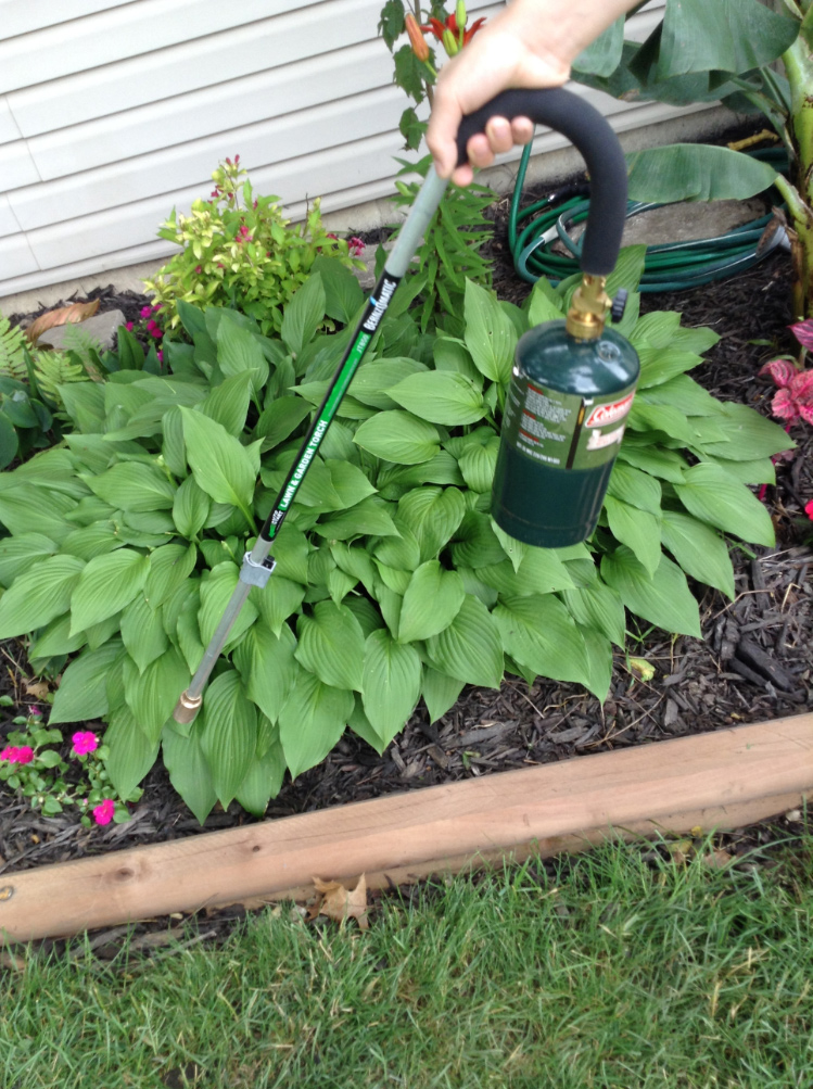 Using Weed Burners