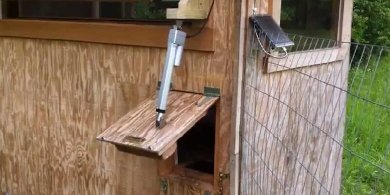 What is Good Material for a Chicken Coop Door