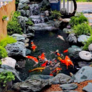 waterfall landscape ideas