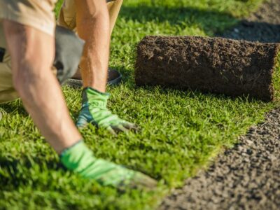 Create a Lush, Green Lawn with Expert Turf Installation in Florida